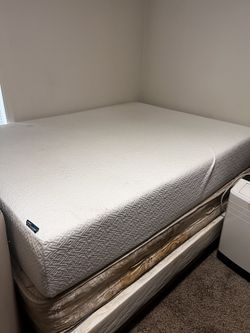 Nectar Bed Queen 12”