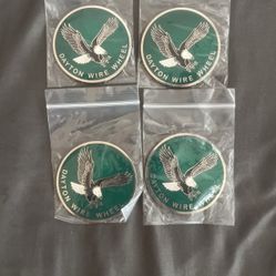 Dayton Wire Wheel Metal Chips