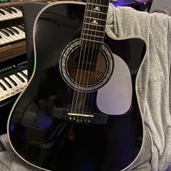 Esteban Acoustic/Electric Gutiar