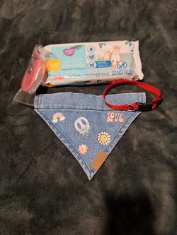 Small Dog Collar Leash And Bandana