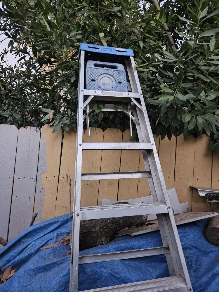 Ladder 8ft