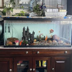 Fish Tank