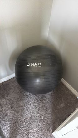 Workout or pregnancy ball