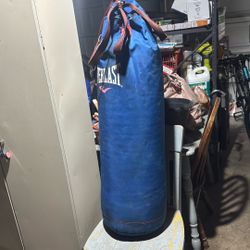 Everlast Heavy Punching Bag  