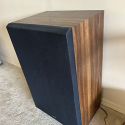 Fisher Speakers 100W