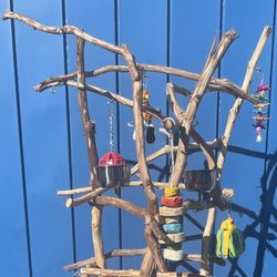 African Grey - Amazon Parrot Perch Tree … All Custom And A Great Socializer For Mr Feathers !! 👍🏼