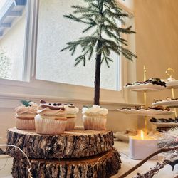 Wood rounds For Decor 