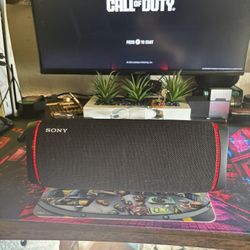 Sony Bluetooth Only Portable Speaker 🔊 Loud & Sounds Great 