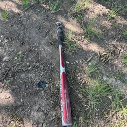 Bat
