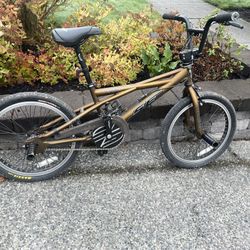 Se quadangle for sale hotsell