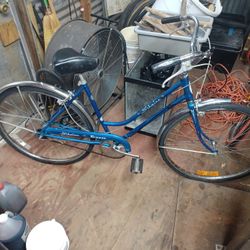 1970 Schwinn Breeze Cruiser 