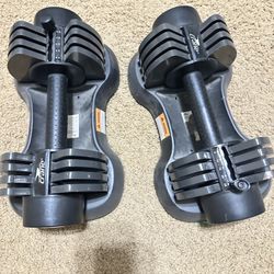 Aldi Crane Adjustable Weights!