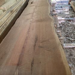 Cedar Logs Smove On Two Sides14 Inch W//11ft L.  5 Inches Thick Right For Mantel  Board Killed Dry