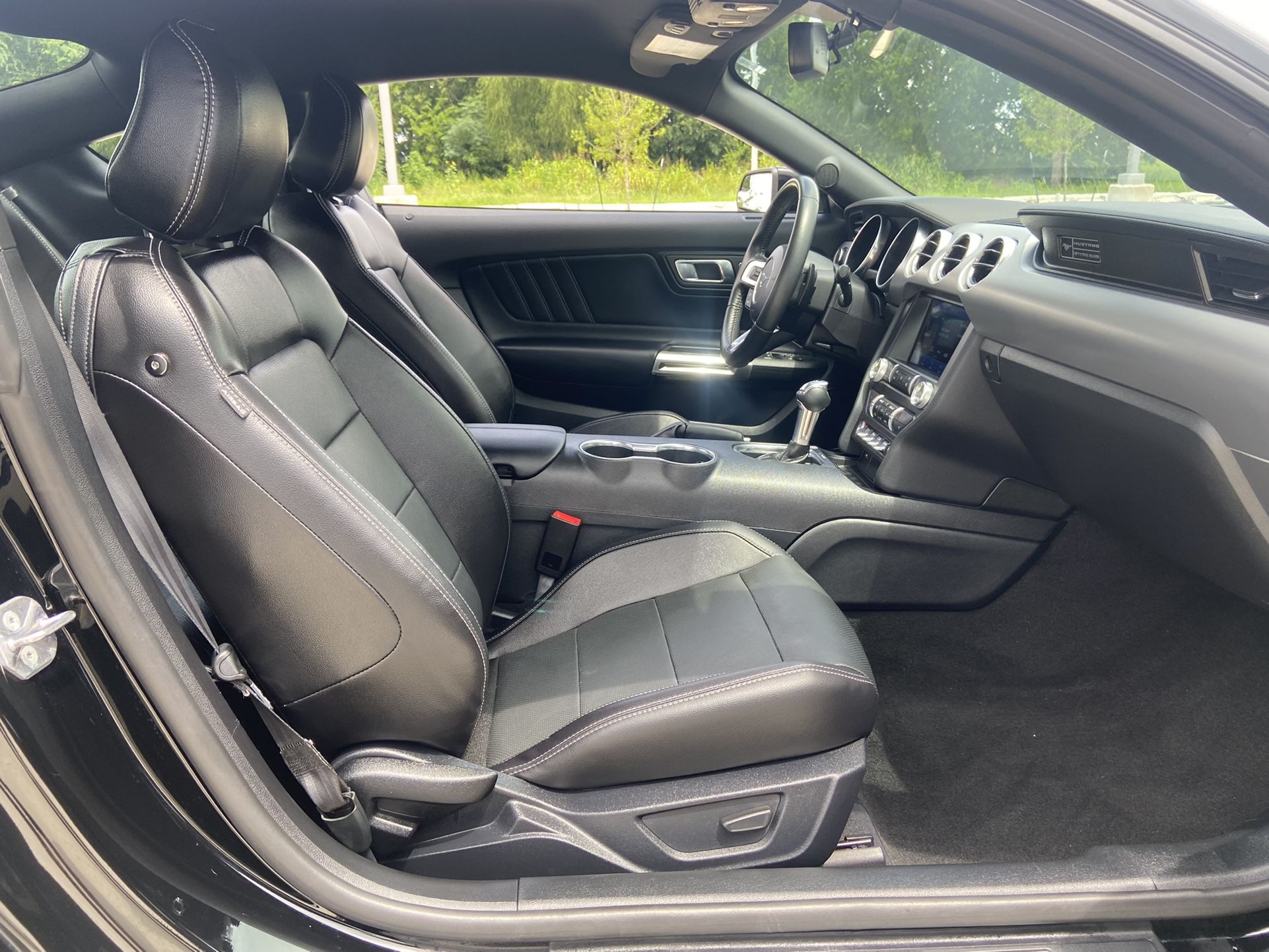 2019 Ford Mustang