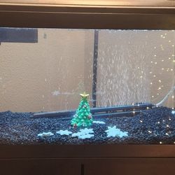 Aquarium For Sale