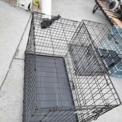 Dog Cage