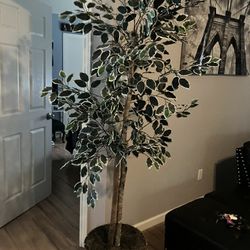 Indoor Fake Plant For Sale!
