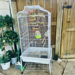 Parrot Cage With All The Accessories Needed