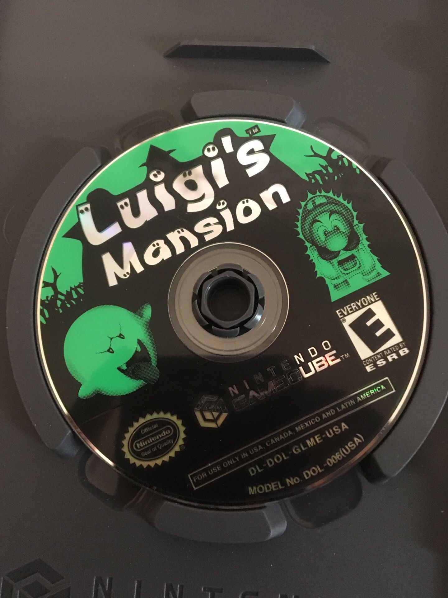 Luigis Mansion