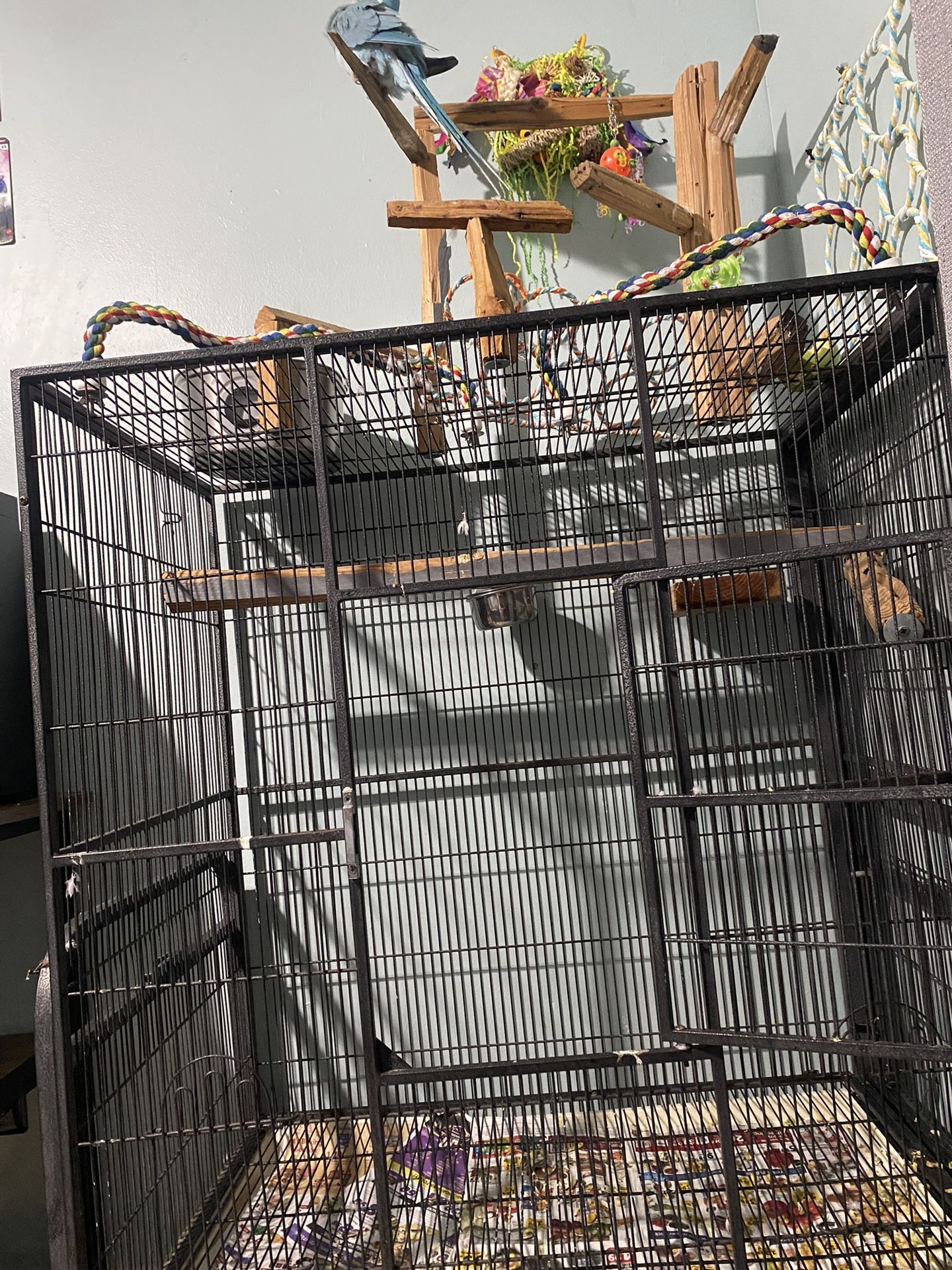 Fake Bird Toy And Cage