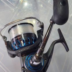 Daiwa Saltist Fishing Reel