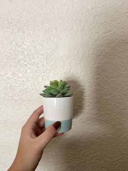 Small Artificial Succulent
