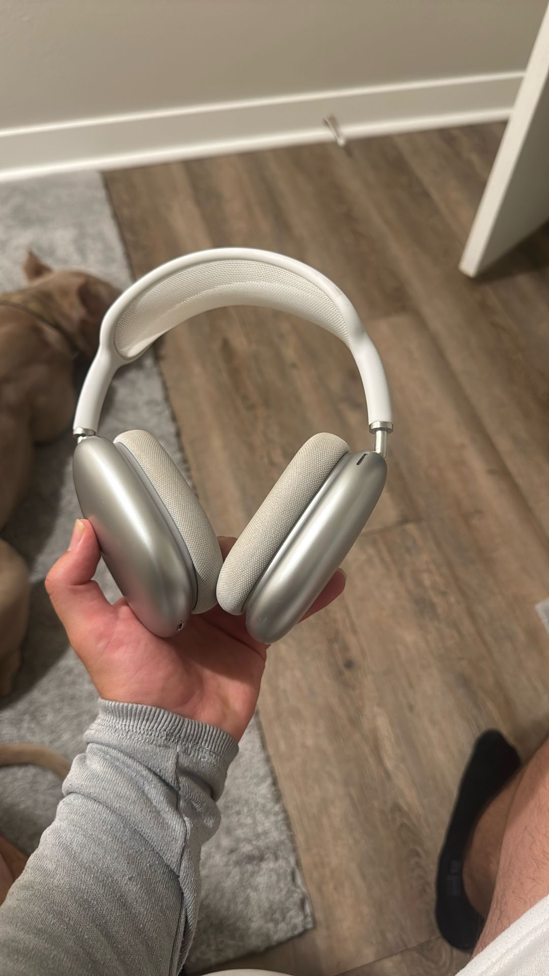 Air Pod Pro Max