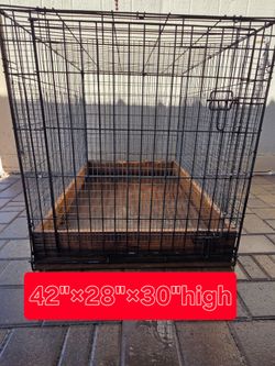 Kennel
