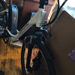 Funhang 1000 Ebike