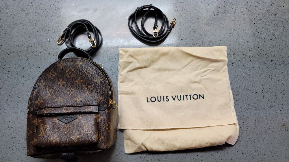 Louis Vuitton Palm Spring Mini