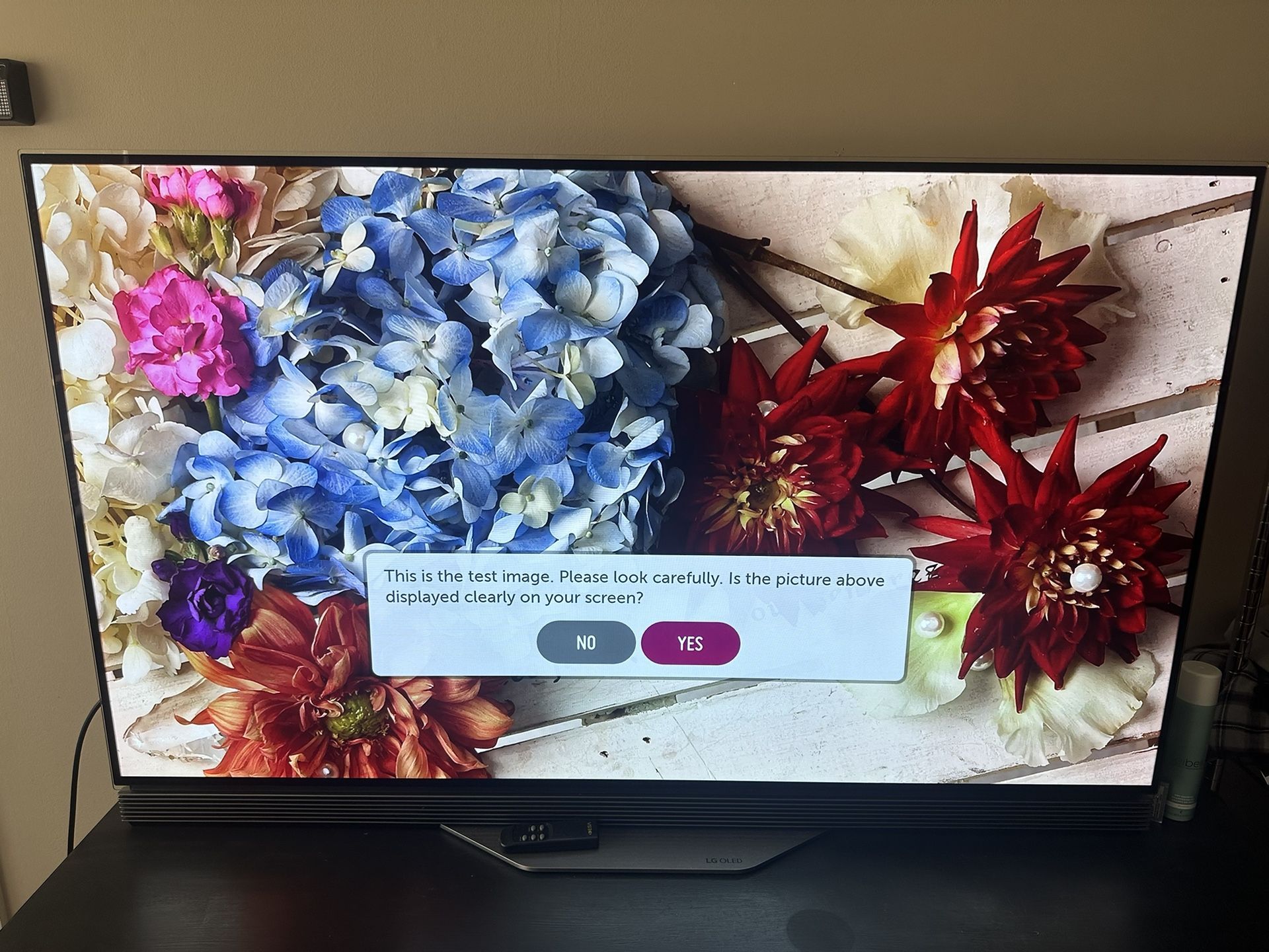 LG OLED 55 Inch Tv