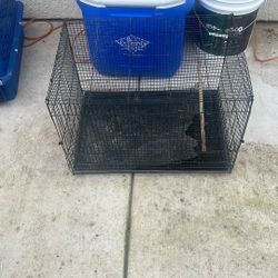 Bird Cage $10.00