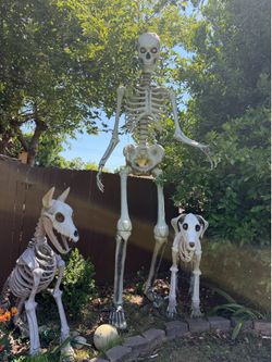 12 ft Skeleton and pets