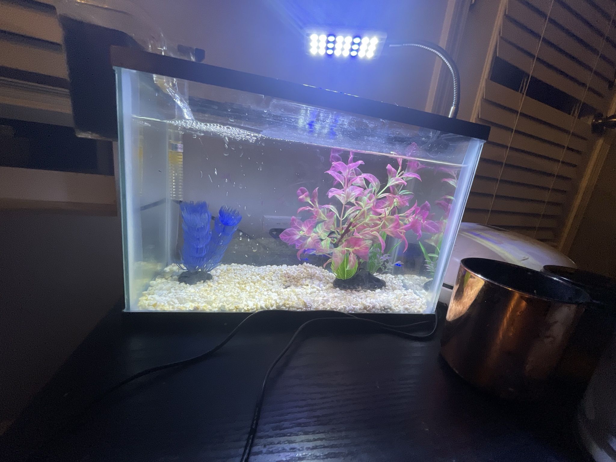 Used- Fish Tank Starter Set