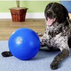 New- Jolly Ball 10 Inch Push-n-Play Pet Toy