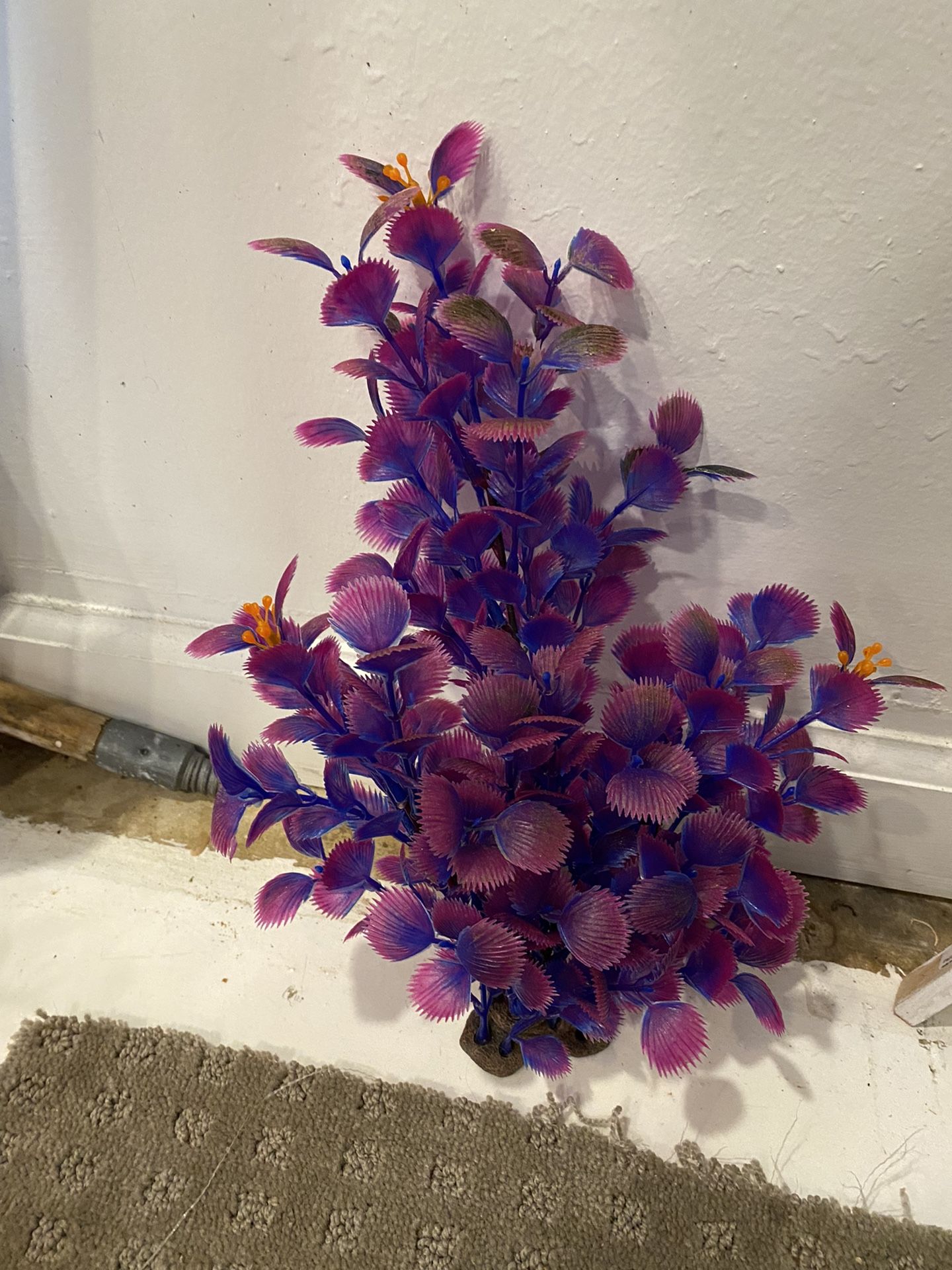 Used Top Fin Hexagon Aquarium 20 Gallon