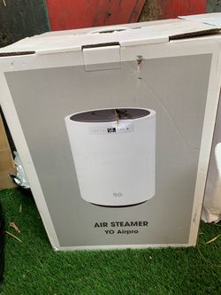 Air steamer