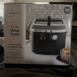 Deep Fryer 