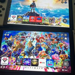 Nintendo Switch (all Models) Modification 