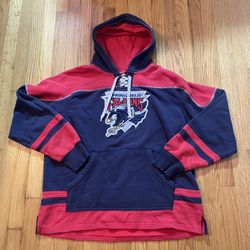 VINTAGE SPRINGFIELD FALCONS American Hockey League AHL HOODED Sweatshirt XL RARE