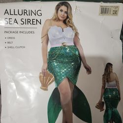 Mermaid 🧜‍♀️ Costume For Adults