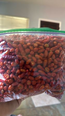 Chile piquin Organic
