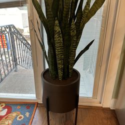 53” Faux Snake Plant with Stand