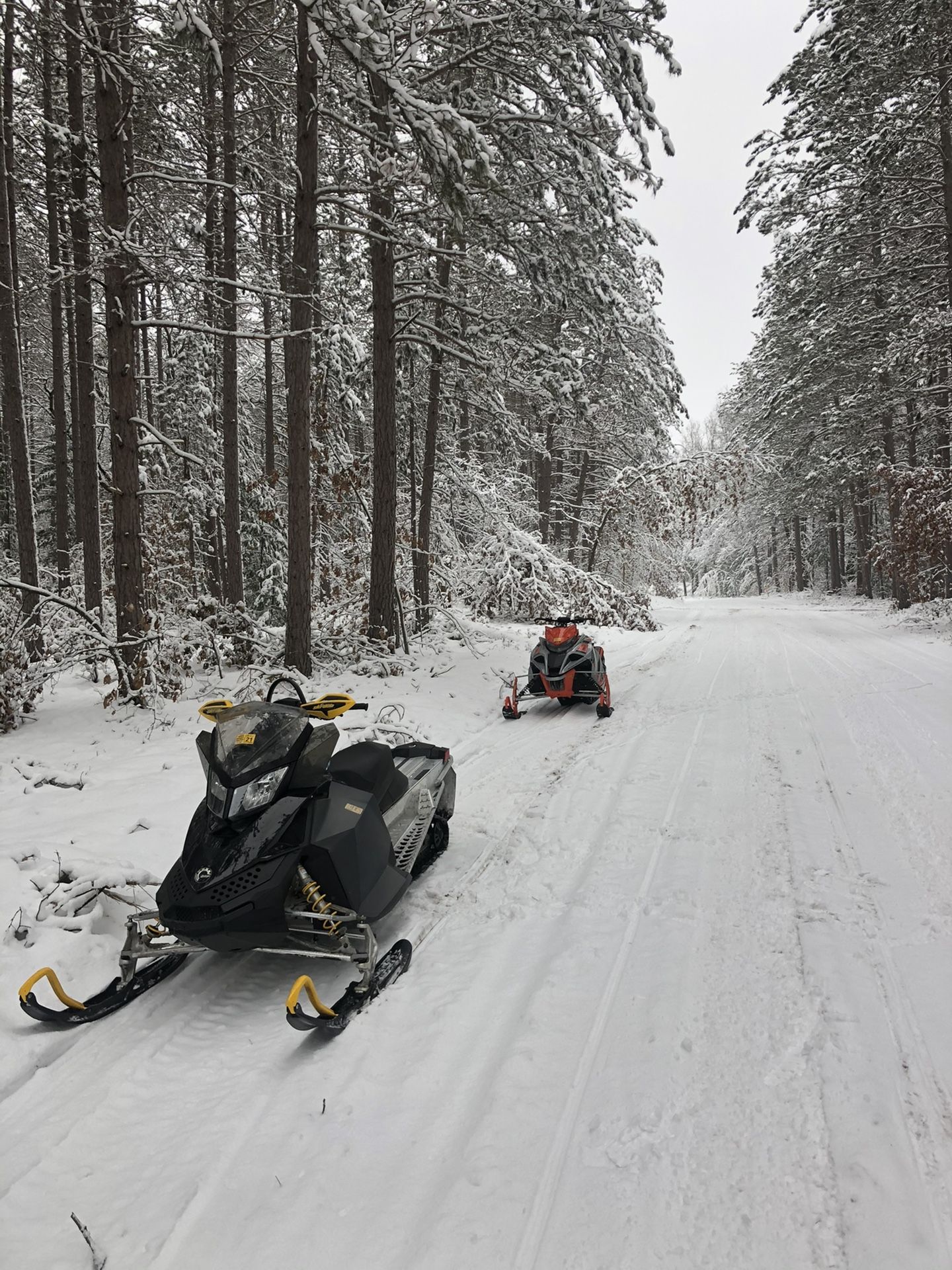 2009 skidoo renegade 800