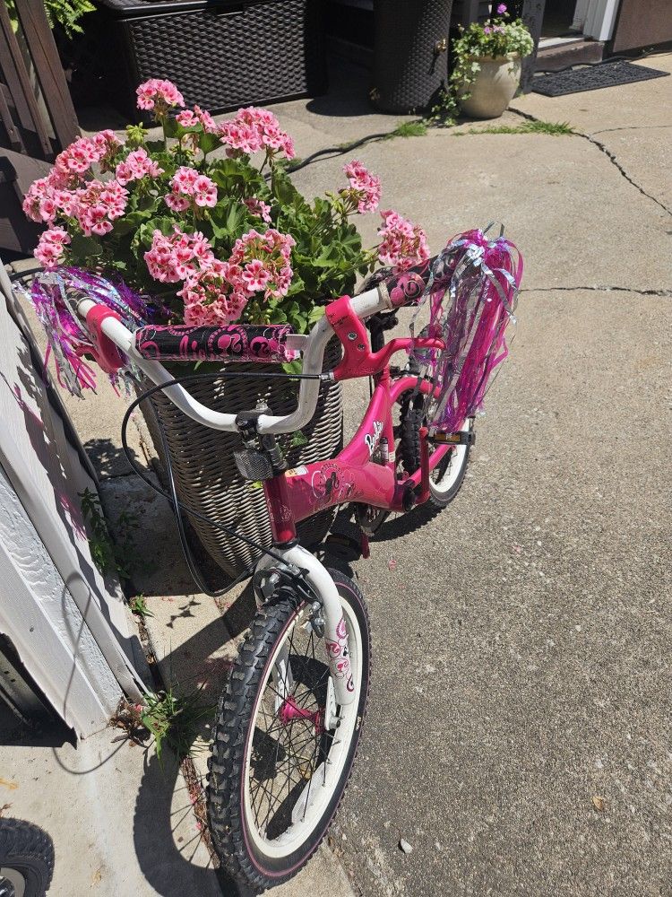 Kids Bike