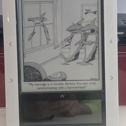 Like New Barnes & Noble Nook 1st Gen. BNRZ100 + Charger + Cable