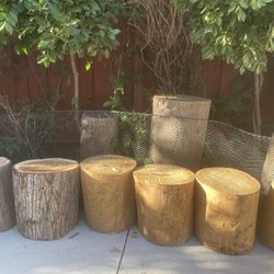 Wood Stumps 