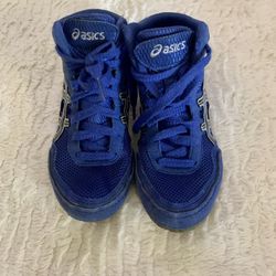 Wrestling Shoes
