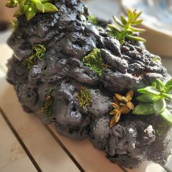 Big Succulent lava rock scape (Planter)