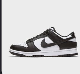Kids dunks Nike